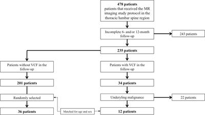 Associations of incidental vertebral fractures and longitudinal changes of MR–based proton density fat fraction and T2* measurements of vertebral bone marrow